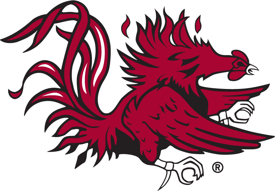 South Carolina Gamecocks 1966-2008 Secondary Logo diy iron on heat transfer